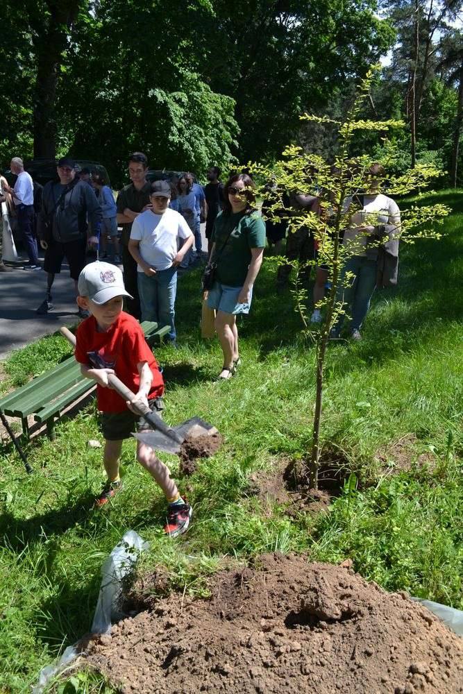 Посаджено дерева в Алеї Пам’яті військовослужбовців